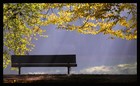 Picture for song 'Ty / You' by artist 'CezaryStawski'