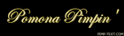 Picture for song 'Pomona Pimpin' by artist 'Chamin Mind'