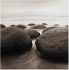 Picture for song 'suspend.' by artist 'ChoChoNa Music 4 U'