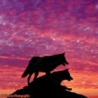 Picture for song 'All Jokes Aside' by artist 'Chop Da Boss'