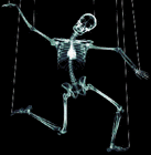 Picture for song 'Skeletons' by artist 'CHUCK DIESEL'