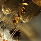 Picture for song 'Champagne Wishes (STREAM ONLY)' by artist 'City Instrumentals'