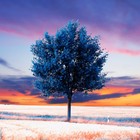 Picture for song 'Save your soul.' by artist 'Cocoband'