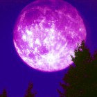 Picture for song 'E.T.' by artist 'colacola'