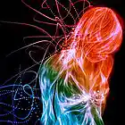 Picture for song 'magic hall' by artist 'colacola'