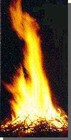 Picture for song 'A fuego como mi papa!' by artist 'Colombian'