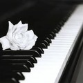 Picture for song 'Cosmic -free download' by artist 'CONSCIOUSBEATS.COM'