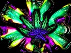 Picture for song 'Drugs No Hugs' by artist 'Cpow'