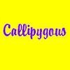 Picture for song 'Callipygous is a Word (that usually isn't heard)' by artist 'Cribbooky'