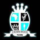 Picture for song 'Get Hurt (~*UP COMING ALBUM RELEASE*~)' by artist 'Crown Wood'
