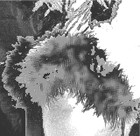Picture for song 'Quisico Fisico OYE' by artist 'Cuatro Mundo'