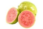 Picture for song 'BUSCANDO GUAYABA.mp3' by artist 'Daddy G'