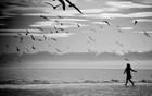 Picture for song 'Da Deliverer - Just Another Day' by artist 'dadeliverer'