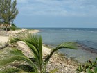 Picture for song 'AFRICA2 mp3' by artist 'Daktari'