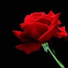 Picture for song 'I Apologize' by artist 'Danny Ray Hubbard'