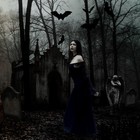 Picture for song 'Pretend' by artist 'Danny Tallerico'