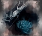 Picture for song 'He Is The Light' by artist 'Darren Rhodes'