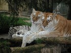 Picture for song 'Family' by artist 'DaSorceror'