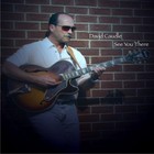 Picture for song 'A Midnight Stroll' by artist 'David Caudle'