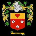 Picture for song 'Scottish Gift' by artist 'Davy Shannon & Friends'