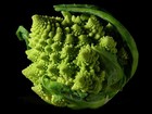 Picture for song 'umbra-fractal dub' by artist 'DEEP CUT'
