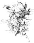 Picture for song 'Shapeshifter(dEEpdARkTranCE VS MomentuM)' by artist 'dEEpdARkTranCE'
