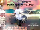 Picture for song 'WHEN YOU BE BALLIN' by artist 'DEEZZEE'