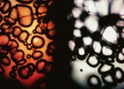 Picture for song 'Galvanize' by artist 'Deff Enders'