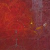 Picture for song 'maOwi é - douce affirmation' by artist 'Delphe'