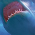 Picture for song 'Killa Sharkz' by artist 'Dezert Eez'