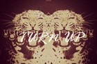Picture for song 'turn up (Without Hook)' by artist 'Jay Santana'