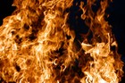 Picture for song 'fire flow' by artist 'Diamond the Natural'