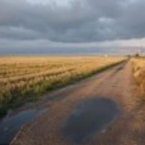 Picture for song 'Muddy Fields with Terry Pearson' by artist 'Dick Langford / Tricks Upon Travellers'