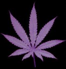 Picture for song '48' by artist 'DijkstraBeats'