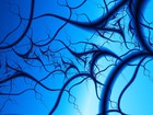 Picture for song 'Diquie Dox - Abstract core' by artist 'Diquie Dox'