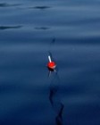 Picture for song 'Float' by artist 'DirtyLarry'
