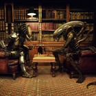 Picture for song 'Checkmate' by artist 'Dj Hypnotize'