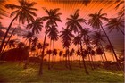 Picture for song 'Lose Track' by artist 'DJ Scape'