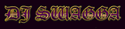 Picture for song 'DJ SWAGGA THEME SONG INSTRUMENTAL' by artist 'DJ SWAGGA'