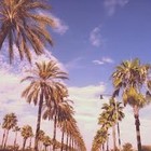 Picture for song 'Summer Daze' by artist 'DJ Weaves'