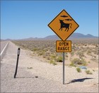 Picture for song 'And Then There Was' by artist 'Donnie Vyros'