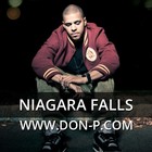Picture for song 'Niagara Falls' by artist 'DON P'