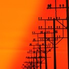 Picture for song 'Close to you' by artist 'don't believe you'