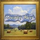 Picture for song 'country_skys' by artist 'dreamsdriver'