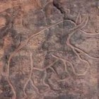 Picture for song 'Savannah (part I) D Roberts' by artist 'D Roberts'