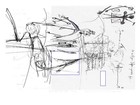 Picture for song 'Circle Of The RNA - D R Townsend - Laboratory iv' by artist 'DRTownsend'