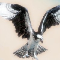 Picture for song 'Feel - don't explain' by artist 'Oddger'