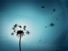 Picture for song 'Breath of Life' by artist 'Eight and One Half'