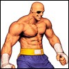 Picture for song 'alternate sagat theme' by artist 'electric salmon'