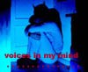 Picture for song 'Voices in my mind' by artist 'Elfosoundbreak'